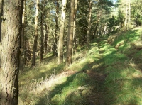 Internal track