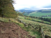 The Tweed Valley