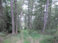 Internal track