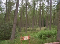 Wood sign