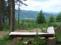 Highlaw Wood - SOLD