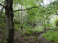 Howden Wood - SOLD