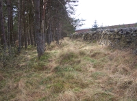 Inside the wall