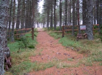 Ridestop entrance