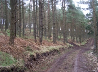Track side