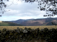 View to the East
