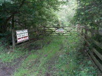 Long Wood - SOLD