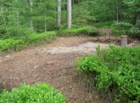 Oldfell Wood - SOLD