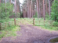 Entrance to the wood.