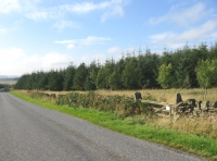 Sheughhead Wood - SOLD