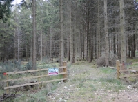 Swinshaw Wood - SOLD