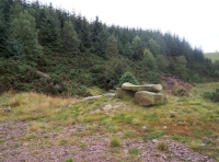 Three Stanes Wood - SOLD