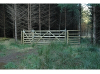 Twall Wood - SOLD