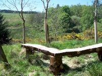 Bench with a view