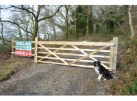 Allt Dderw - Oak Wood photo 2