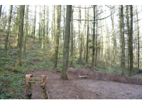 Allt Dderw - Oak Wood photo 3
