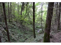 Top of a ravine with small spring fed stream