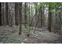 Good flat areas