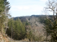 view from the top track over the valley