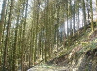 sunny top slope