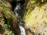 brook