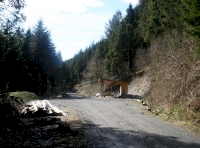 woodstore and track