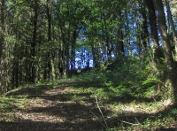 Allt Ysgubog - SOLD