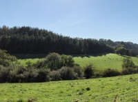 Allt Ysgubog - SOLD photo 4