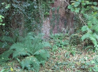 Allt Ysgubog - SOLD photo 6