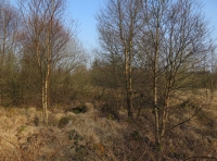 Bronnant Lake photo 3