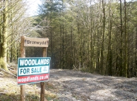 woodland entrance