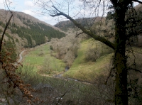 views from the top of the woodland