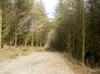 down the track
