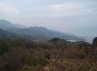 Bryn Cynog