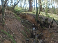 Seasonal brook