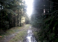The main track