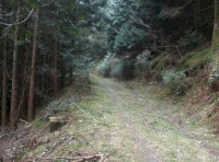 woodland entrance
