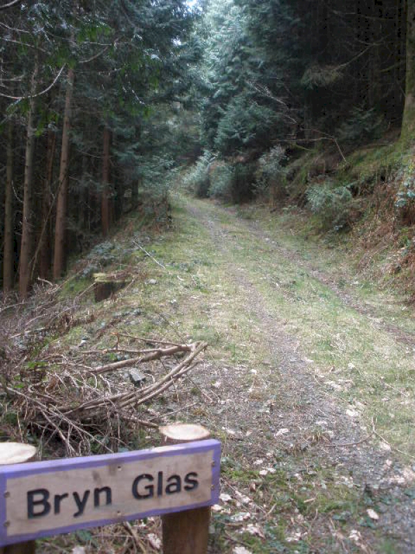 Bryn Glas