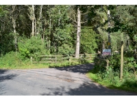 Catbrook Wood - SOLD