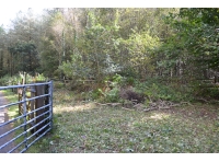 Hard standing parking area adjacent to the woodland behind a secure gate 