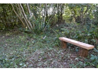 Bench located in the parking area