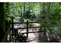 Stile to access the woodland from the southern boundary
