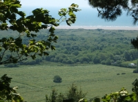 Coed Allt Goch - Red Hillside Wood - SOLD