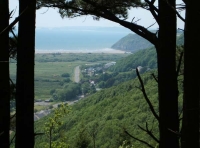 Coed Allt Goch - Red Hillside Wood - SOLD photo 2
