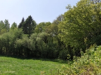 Coed Ardderfin - SOLD