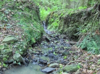 Coed Ardderfin - SOLD photo 6