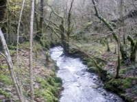 River Duad
