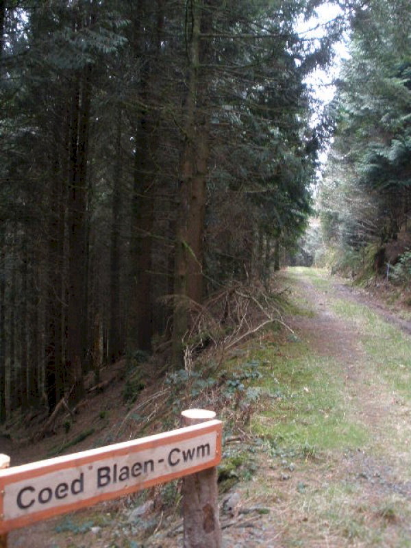 Coed Blaen-cwm - SOLD