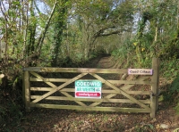 Coed Cilfach - Nook Wood - SOLD