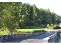 View of the entrance to Drim Wood from the road in Gelli Hill